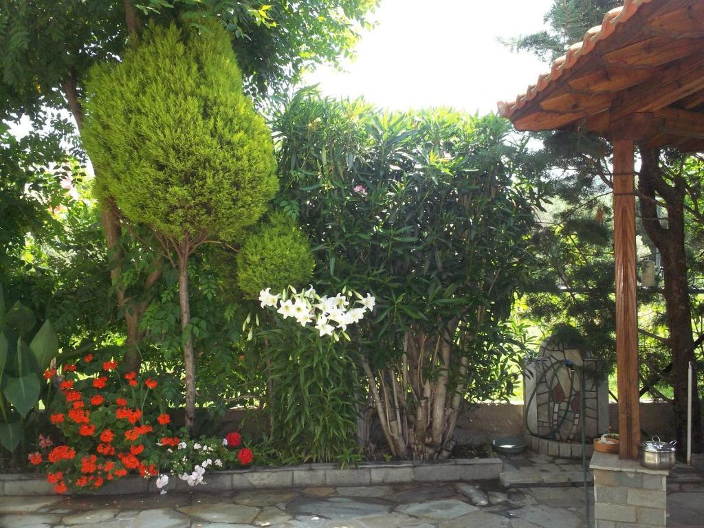 Fotini'S Studios 1 Toroni Exterior foto